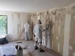 Best Crawl Space Mold Remediation  in Gore, OK